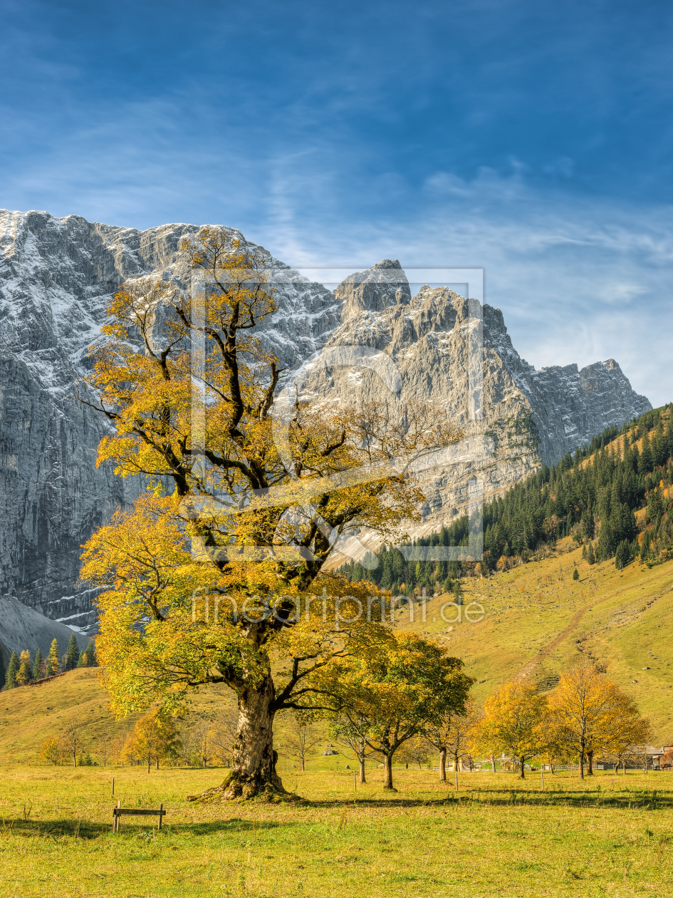 Bild-Nr.: 12391330 Großer Ahornboden im Herbst erstellt von Michael Valjak