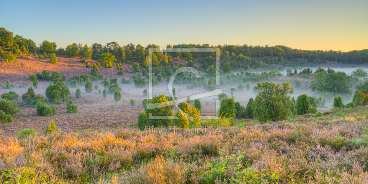 Bild-Nr.: 12395315 Morgens in der Lüneburger Heide erstellt von Michael Valjak
