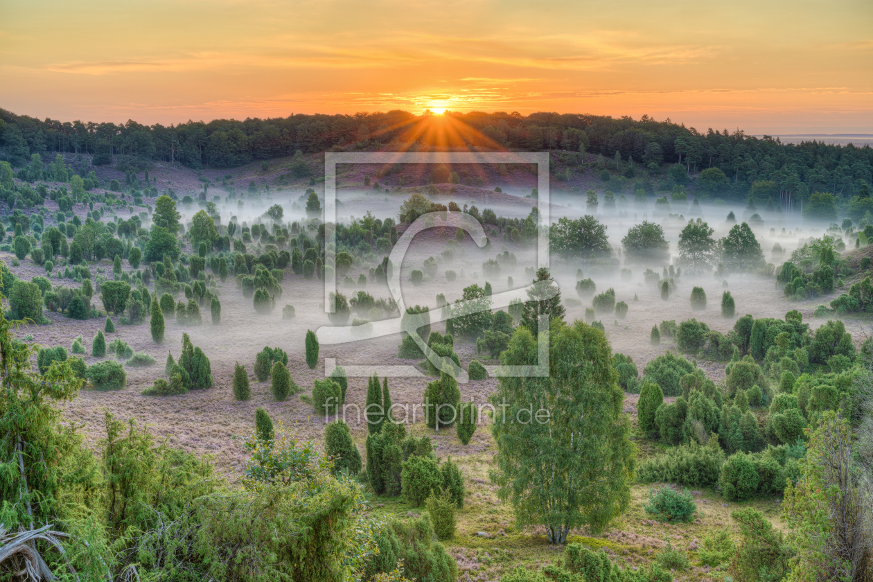 Bild-Nr.: 12395316 Blick in den Totengrund in der Lüneburger Heide erstellt von Michael Valjak