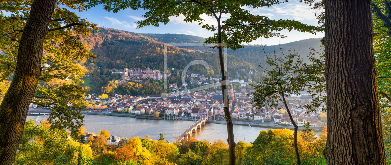 Bild-Nr.: 12396335 Heidelberg Stadtansicht im Herbst erstellt von eyetronic