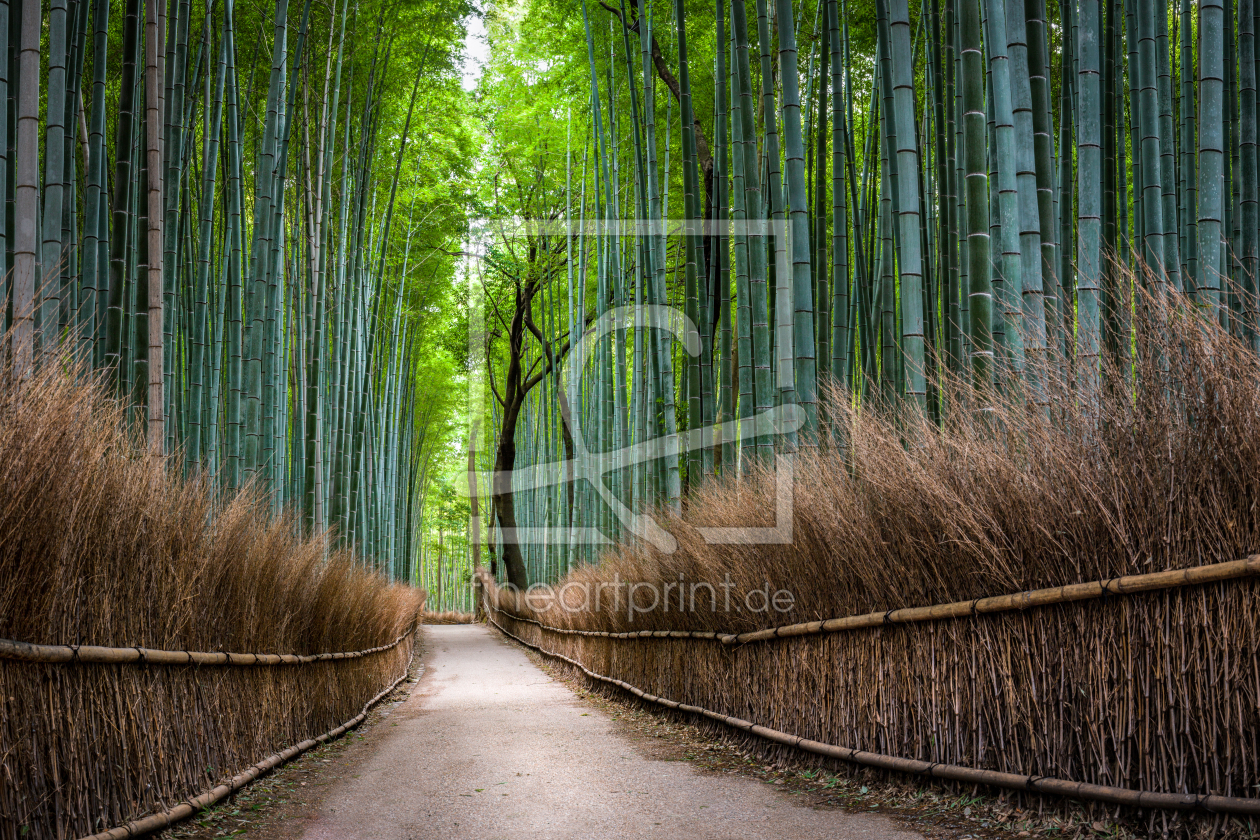 Bild-Nr.: 12397561 Bambuswald in Arashiyama erstellt von eyetronic