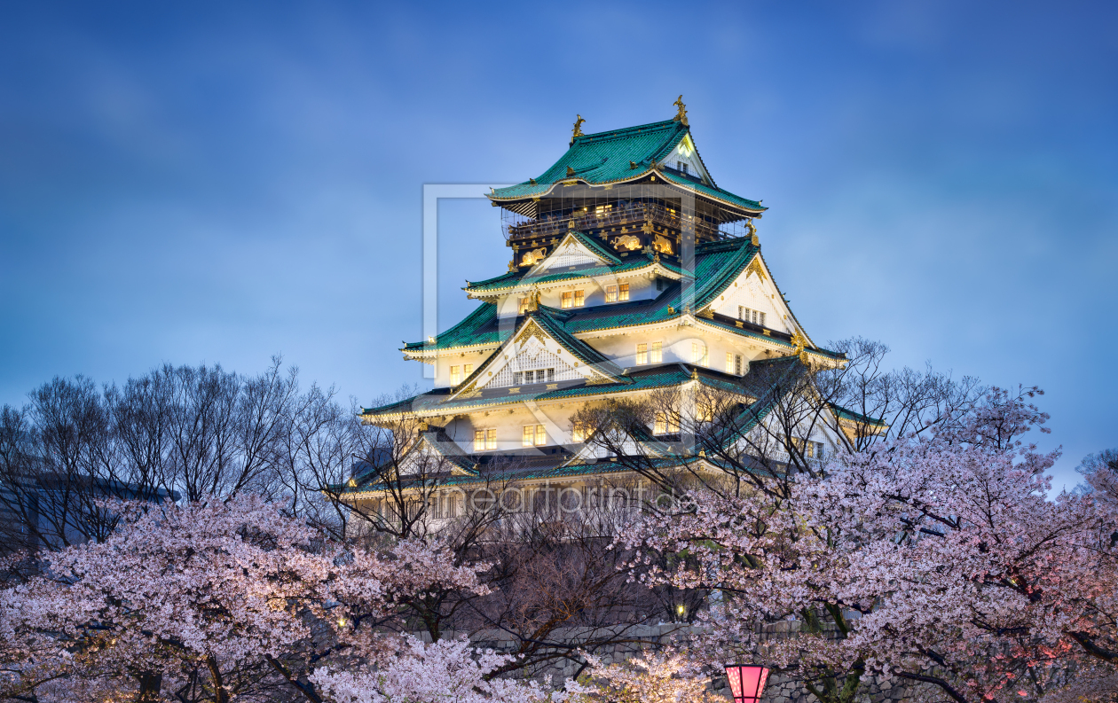 Bild-Nr.: 12397564 Burg Osaka im Frühling erstellt von eyetronic