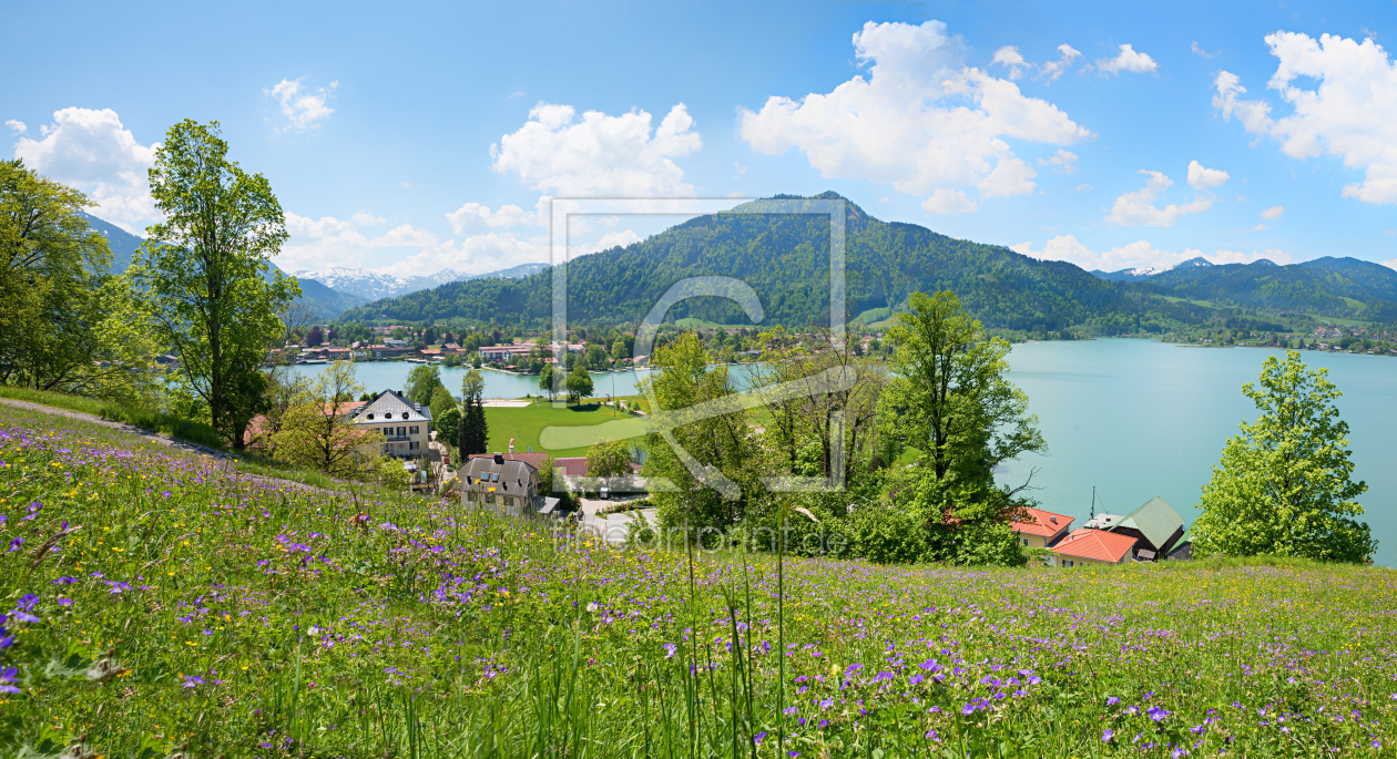 Bild-Nr.: 12400472 Blumenwiese am Leeberg Tegernsee erstellt von SusaZoom