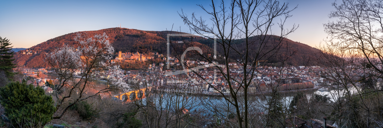 Bild-Nr.: 12403955 Heidelberg Panorama im Frühling erstellt von eyetronic