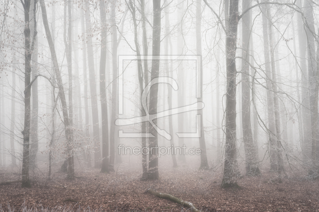 Bild-Nr.: 12404138 Wald Mystik erstellt von luxpediation