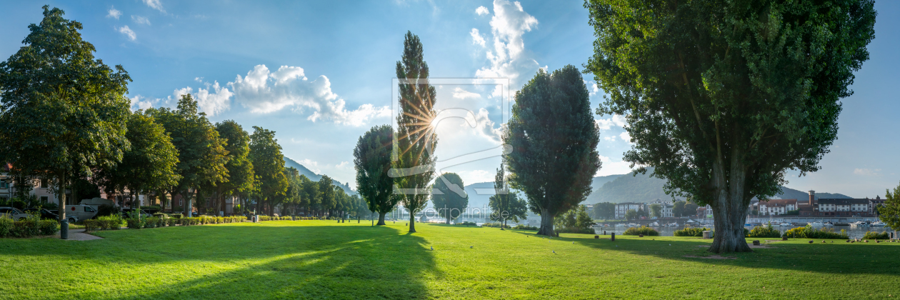 Bild-Nr.: 12406761 Heidelberg Neckarwiese im Sommer erstellt von eyetronic