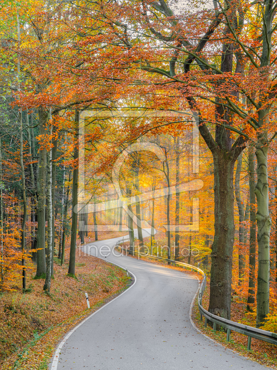 Bild-Nr.: 12407659 Straße durch einen Wald im Elbsandsteingebirge erstellt von Michael Valjak