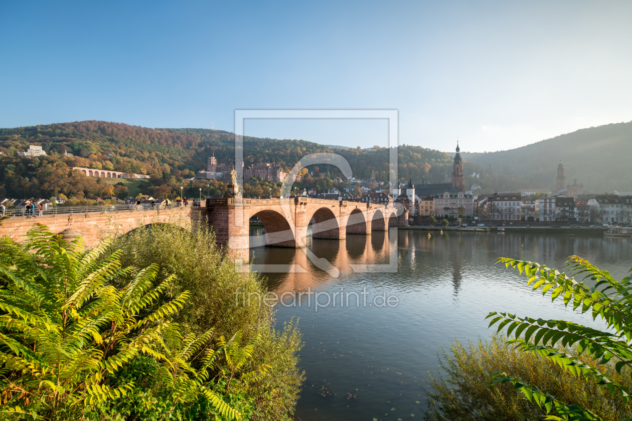 Bild-Nr.: 12407854 Heidelberg Stadtansicht  erstellt von eyetronic