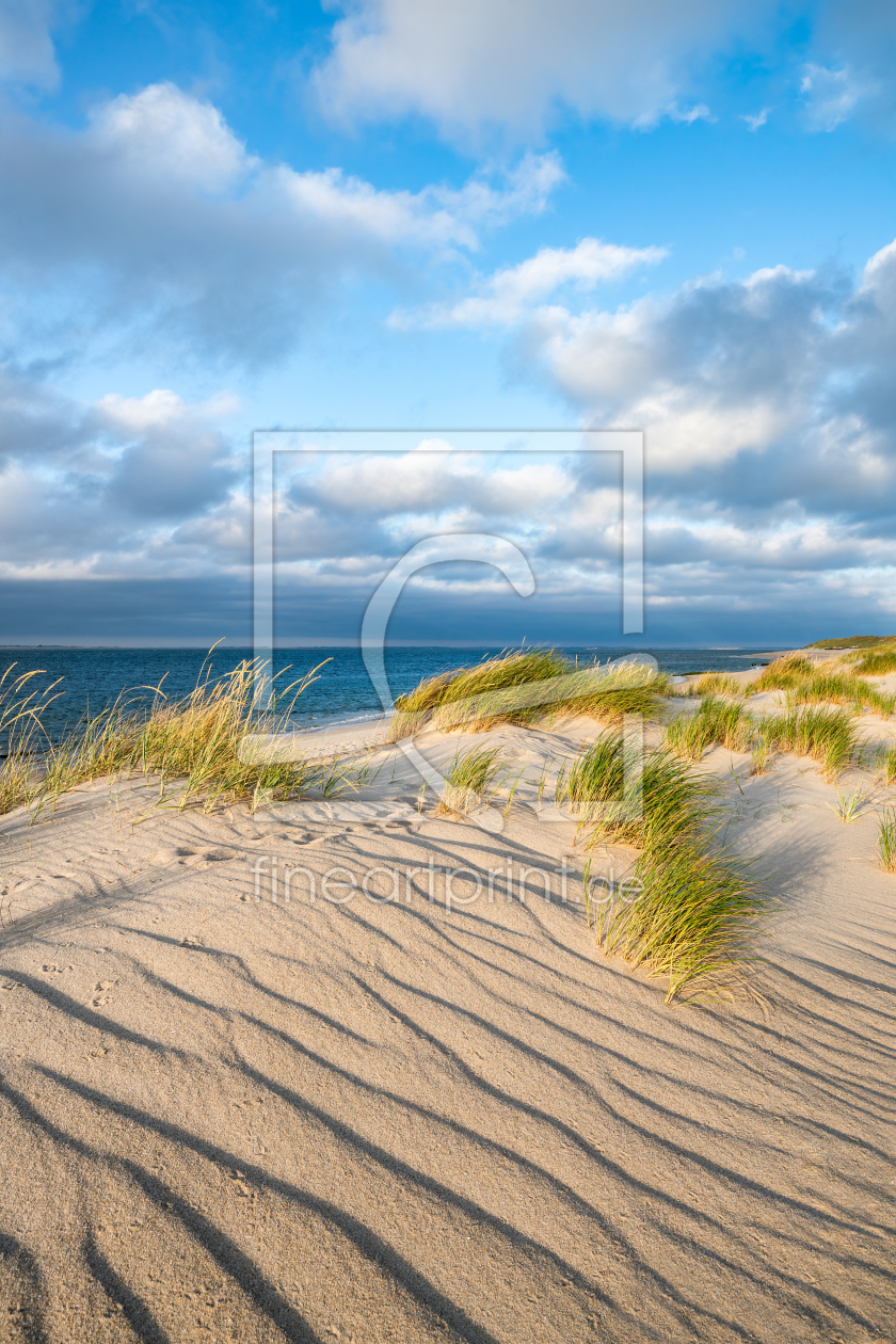Bild-Nr.: 12413767 Dünen mit Dünengras erstellt von eyetronic