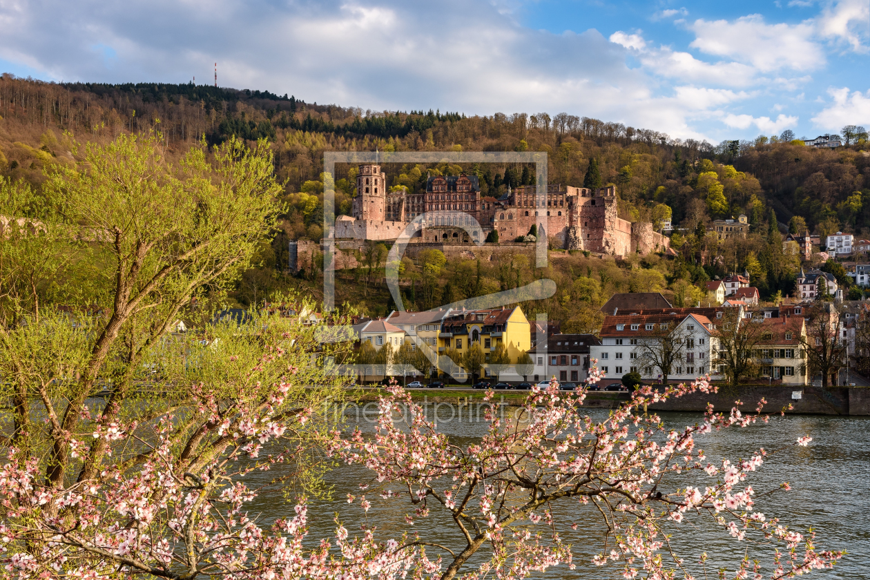 Bild-Nr.: 12414983 Frühling in Heidelberg erstellt von Michael Valjak