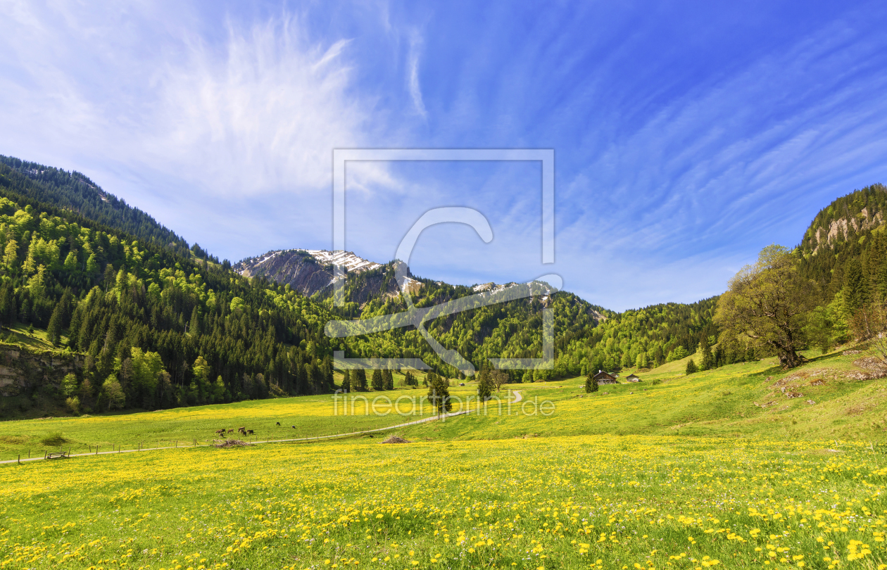 Bild-Nr.: 12415581 Frühling im Gunzesrieder Tal erstellt von Andreas Föll