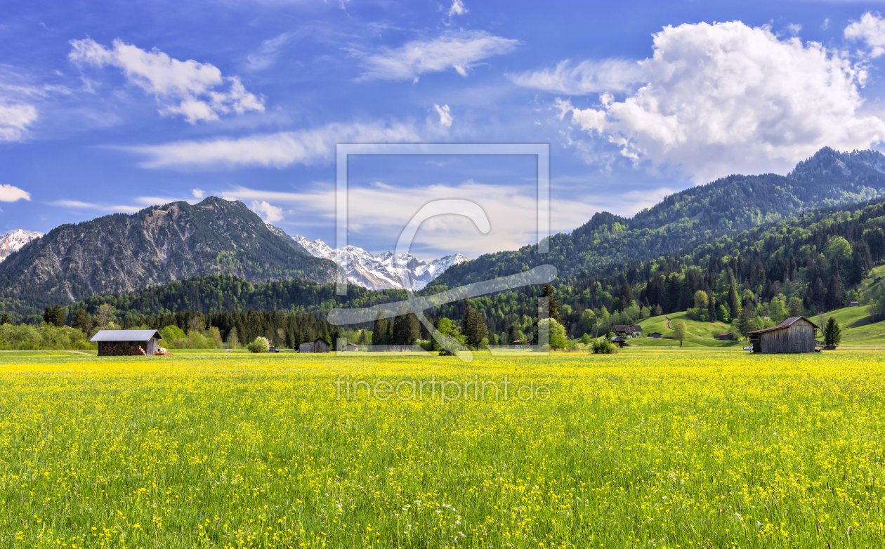 Bild-Nr.: 12415582 Blumenwiese bei Oberstdorf in den Allgäuer Alpen erstellt von Andreas Föll