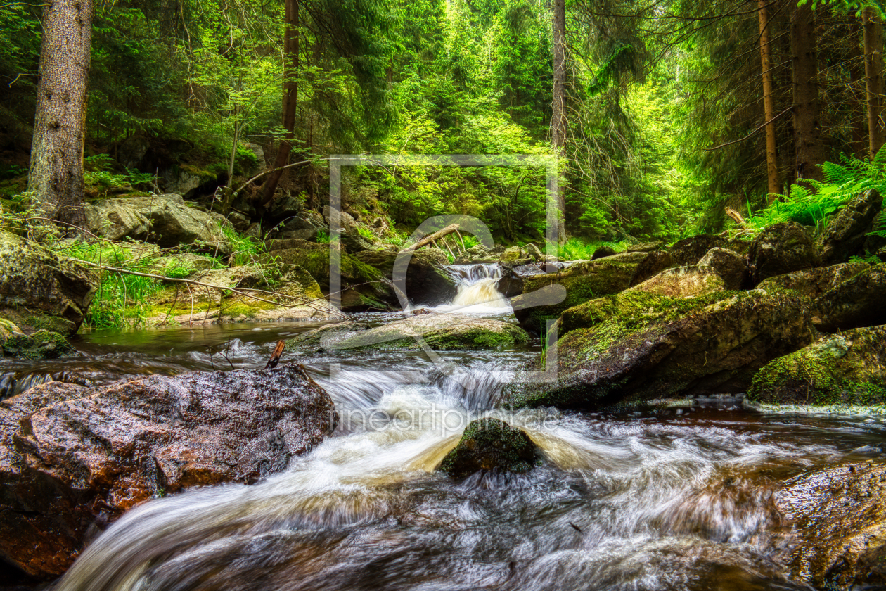 Bild-Nr.: 12415669 Schwarzwassertal erstellt von KundenNr-360742