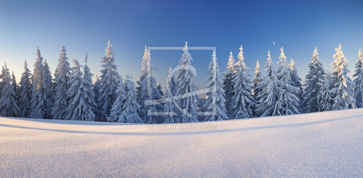 Bild-Nr.: 12423897 Winterlandschaft auf dem Belchen im Schwarzwald erstellt von KundenNr-360966