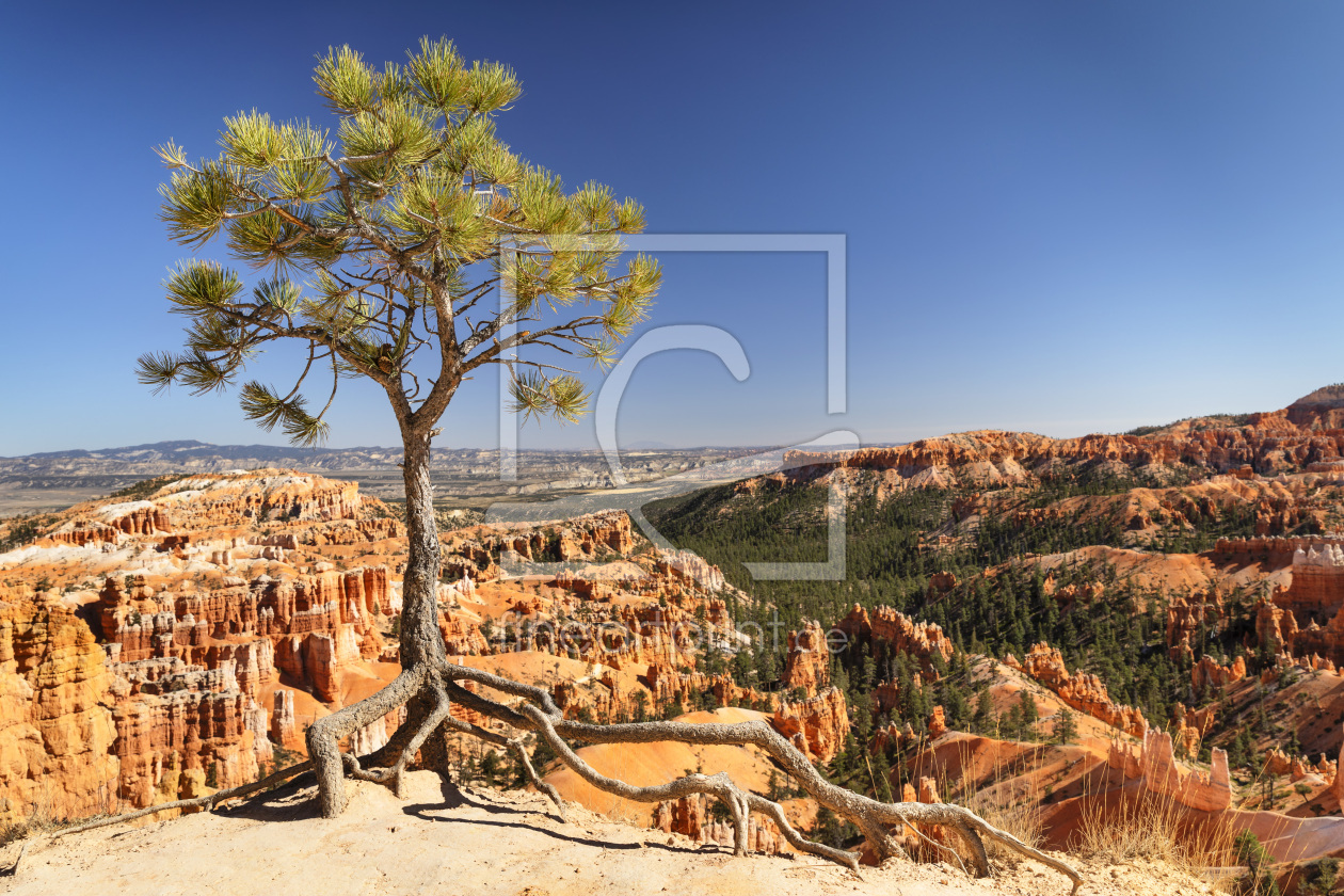 Bild-Nr.: 12424140 Inspiration Point im Bryce Canyon erstellt von KundenNr-360966