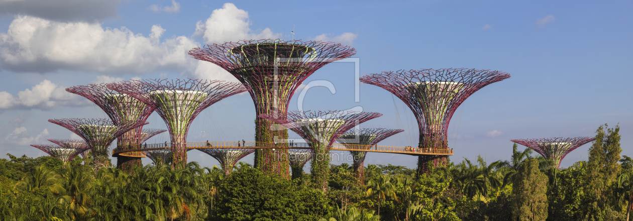 Bild-Nr.: 12424143 Supertree in den Gardens by the Bay erstellt von KundenNr-360966