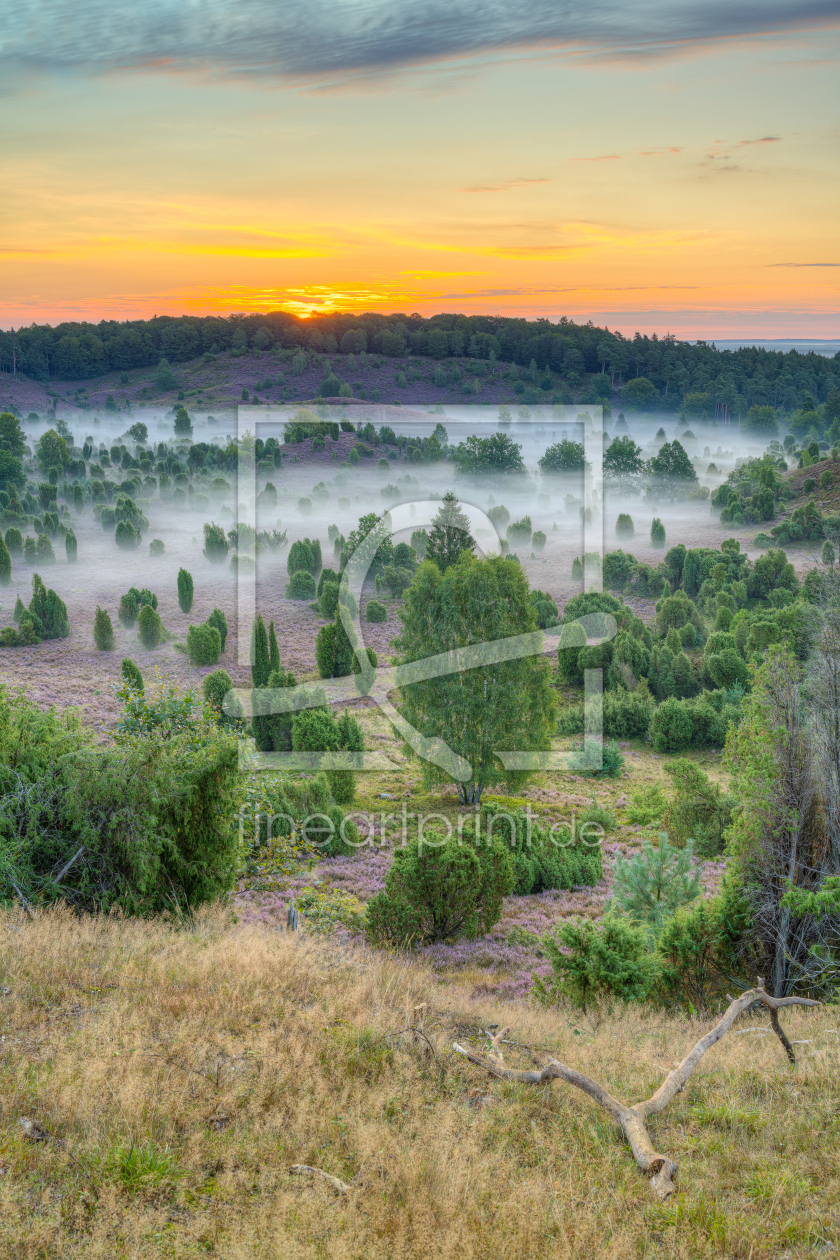 Bild-Nr.: 12424302 Totengrund Lüneburger Heide erstellt von Michael Valjak