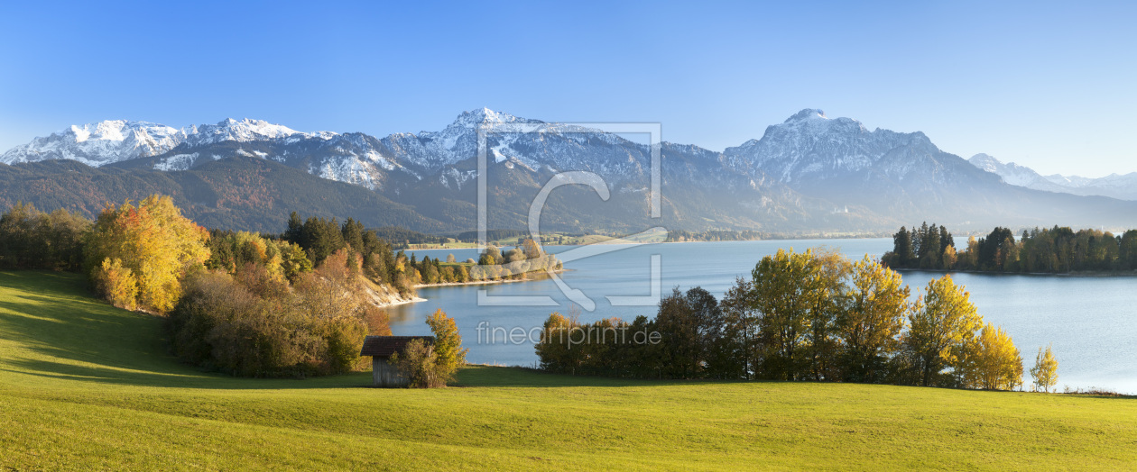 Bild-Nr.: 12424481 Blick über den Forggensee zu den Allgäuer Alpen im erstellt von KundenNr-360966