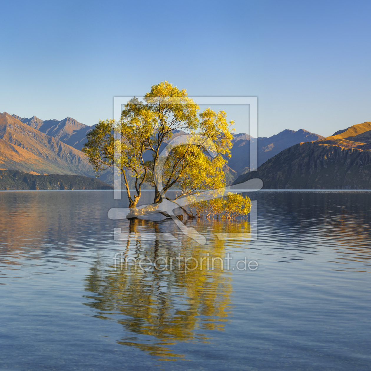 Bild-Nr.: 12424483 Lake Wanaka bei Sonnenaufgang erstellt von KundenNr-360966