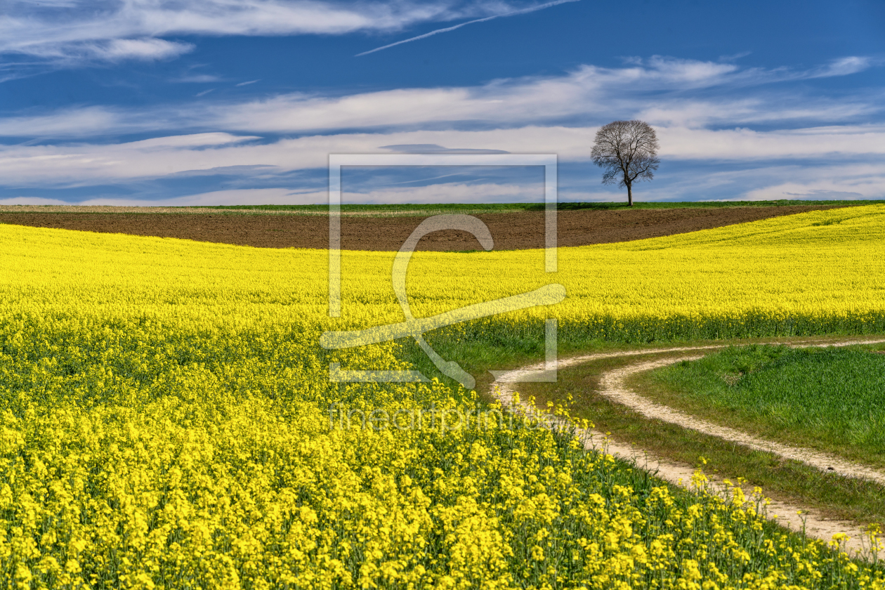 Bild-Nr.: 12425697 Frühling in Bayern erstellt von Achim Thomae