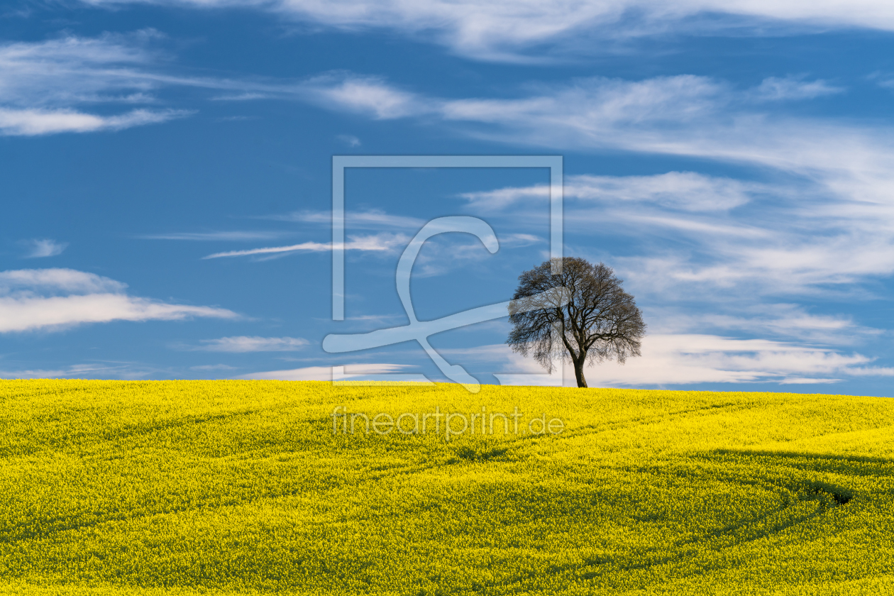 Bild-Nr.: 12427689 Frühling in Bayern erstellt von Achim Thomae