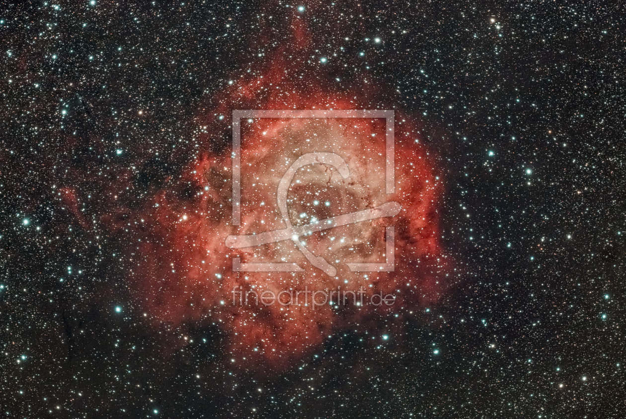 Bild-Nr.: 12428945 Rosettennebel NGC 2237 erstellt von star-watcher