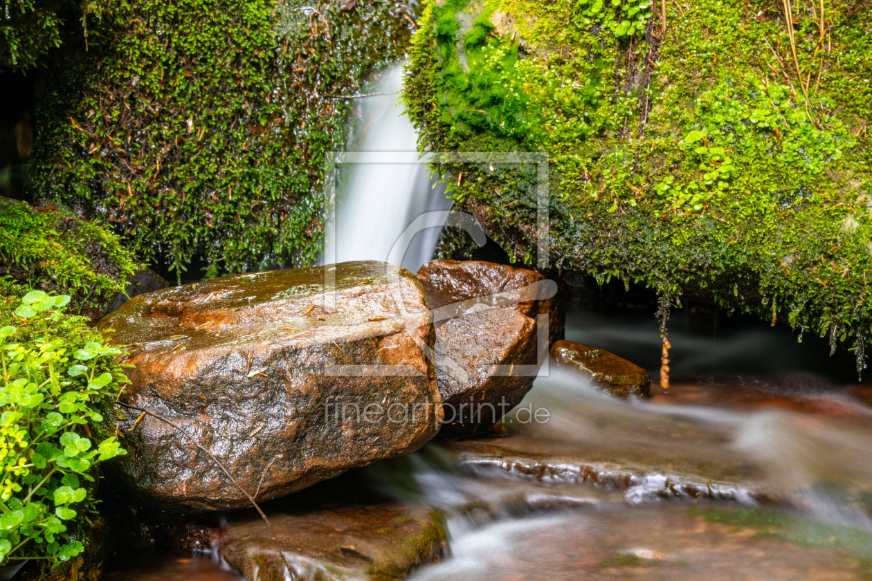 Bild-Nr.: 12429115 Kleiner Wasserfall im Wald mit Steinen erstellt von Guenter Purin