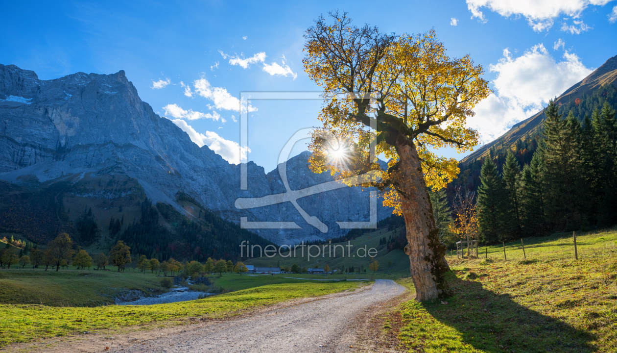 Bild-Nr.: 12429880 Ahornriese im Karwendel erstellt von SusaZoom