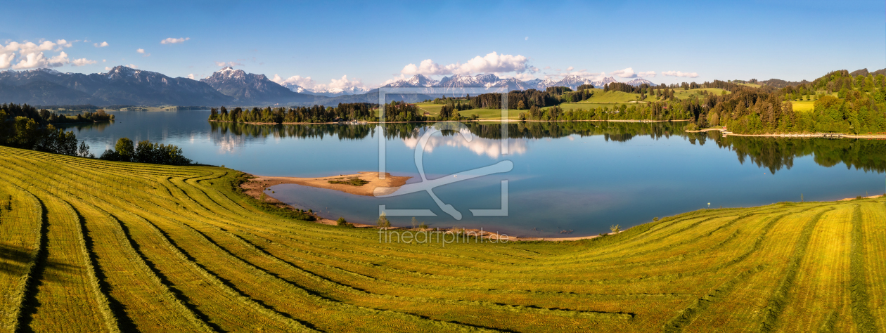 Bild-Nr.: 12436116 Frühling im Allgäu erstellt von Achim Thomae