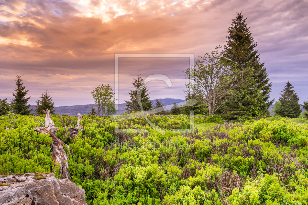 Bild-Nr.: 12438662 Blick zum Brocken von Sonnenberg  erstellt von Steffen Henze