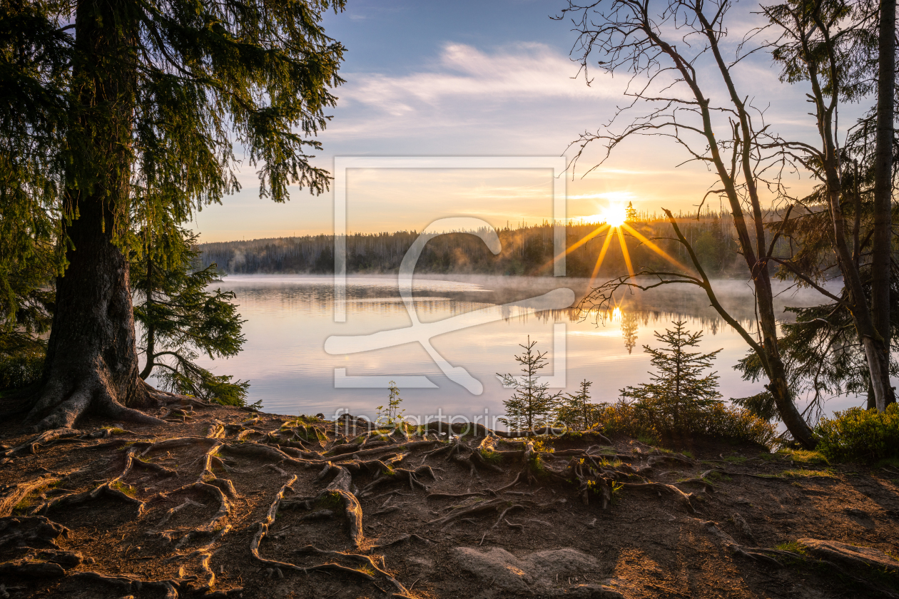 Bild-Nr.: 12439767 Sonnenaufgang am Oderteich erstellt von PH-Photography