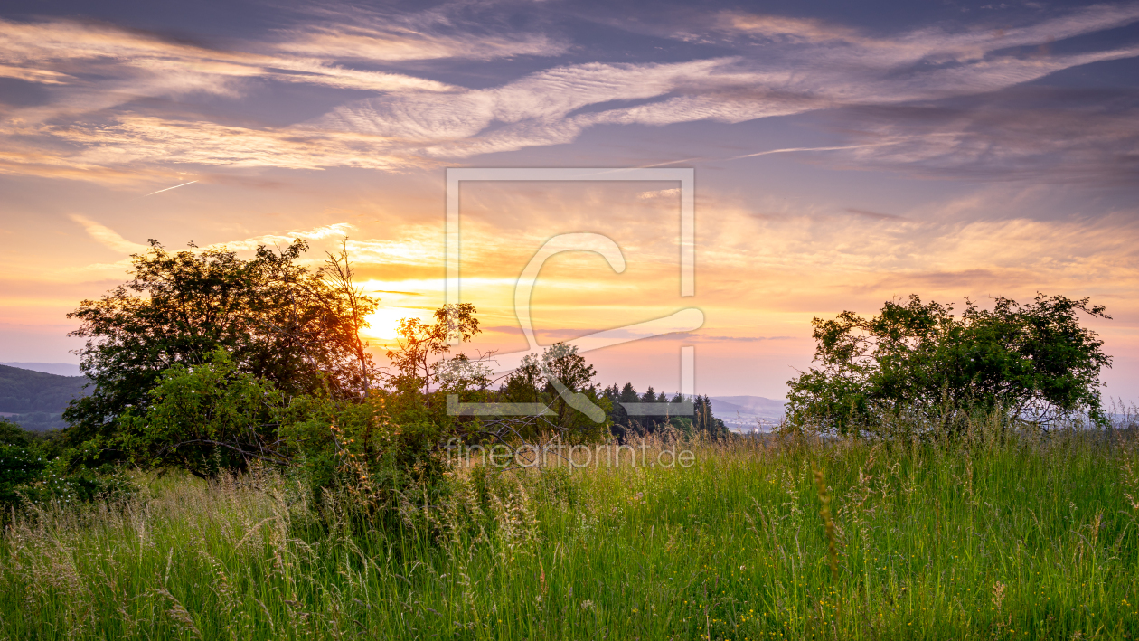 Bild-Nr.: 12443642 Abendspaziergang erstellt von Steffen Henze