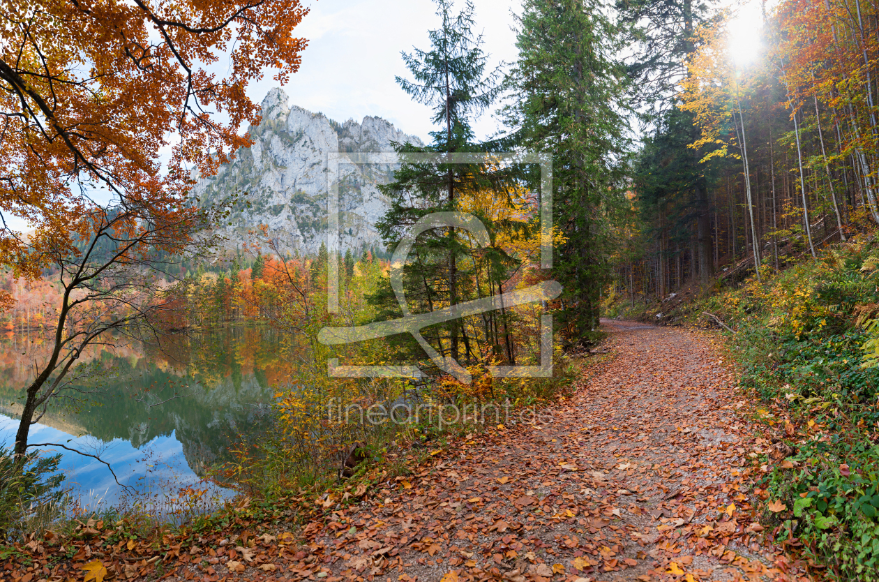 Bild-Nr.: 12448768 Herbstwanderung Laudachsee Salzkammergut erstellt von SusaZoom