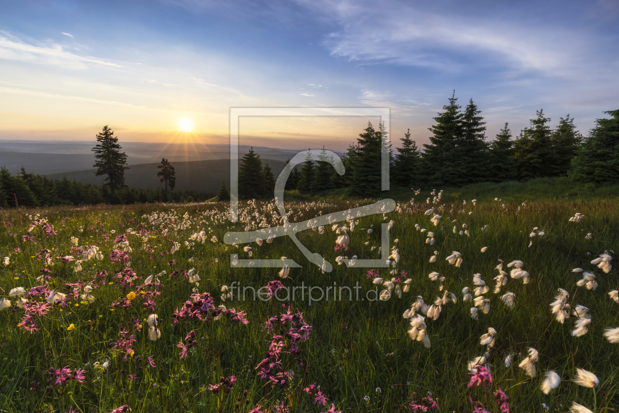 Bild-Nr.: 12454696 Sommer im Erzgebirge erstellt von Daniela Beyer