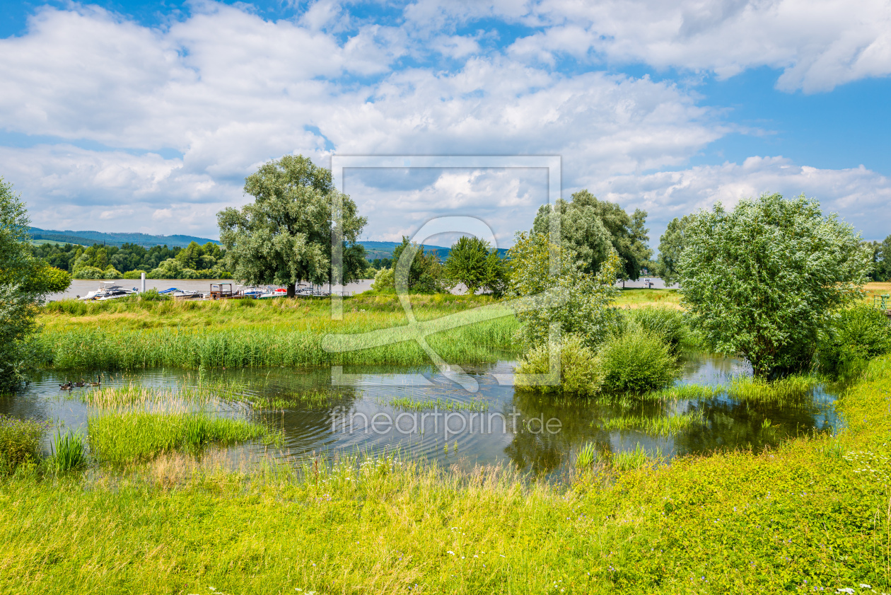 Bild-Nr.: 12456164 Rhein bei Heidenfahrt 23 erstellt von Erhard Hess