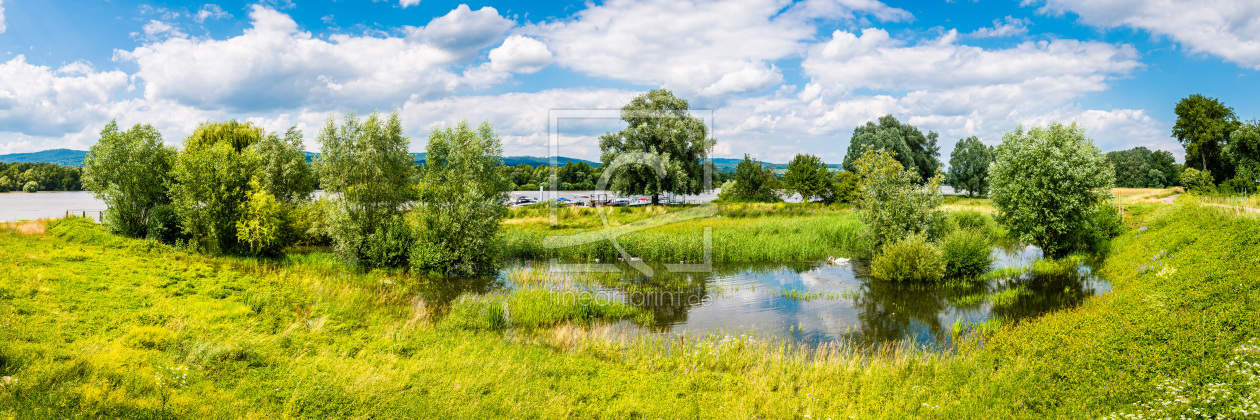 Bild-Nr.: 12456165 Rhein bei Heidenfahrt -1- erstellt von Erhard Hess