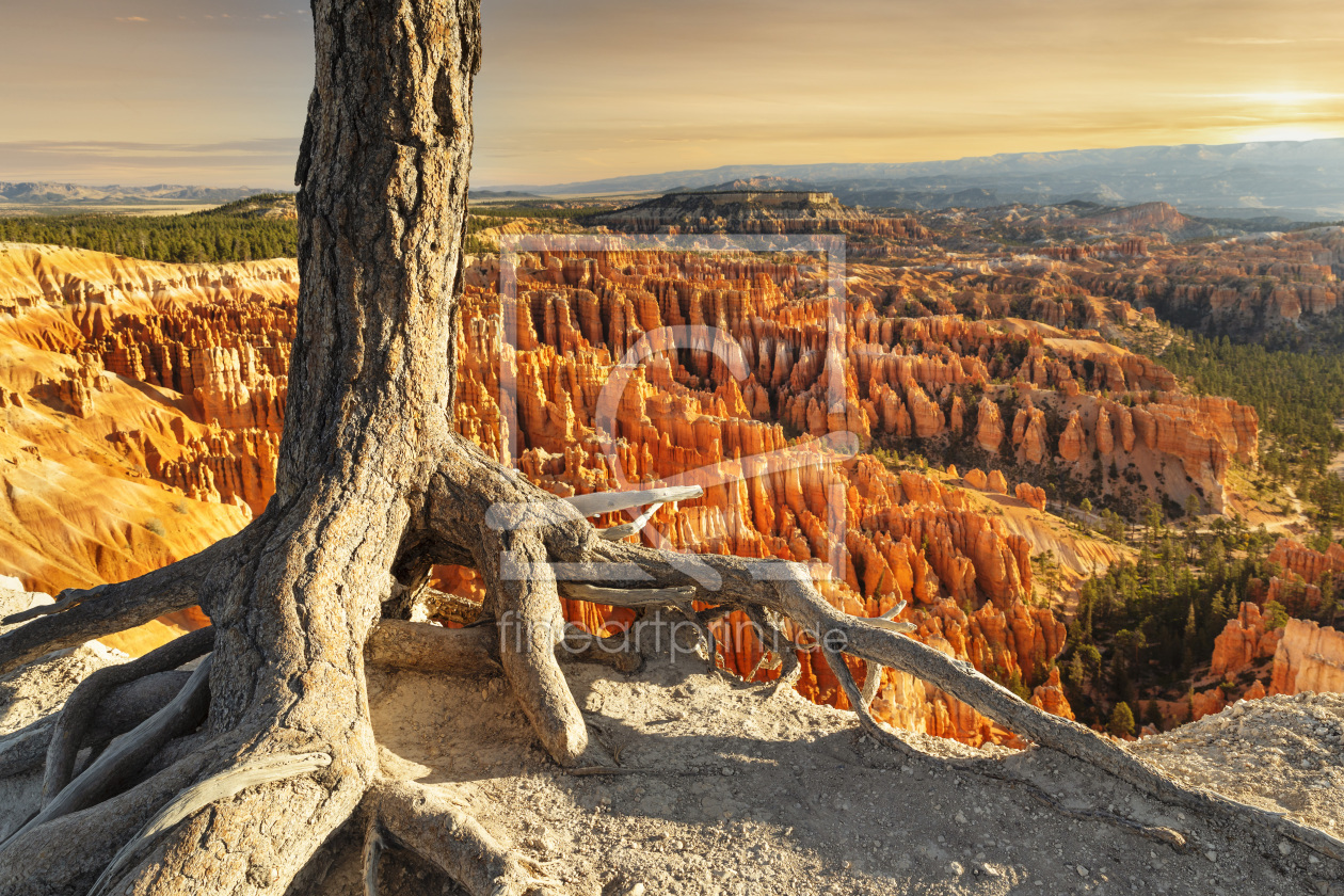 Bild-Nr.: 12460998 Bryce Canyon bei Sonnenaufgang erstellt von KundenNr-360966