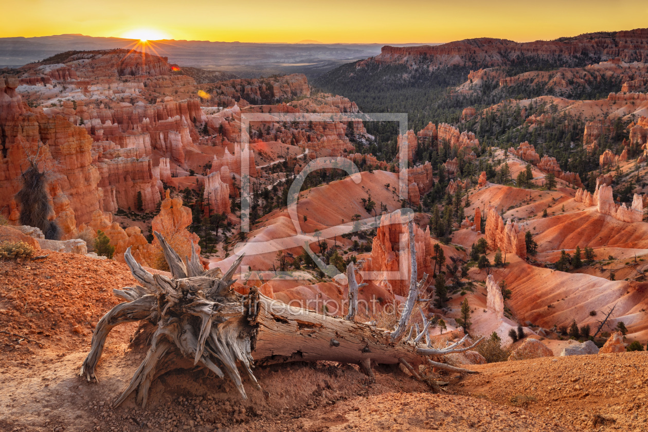 Bild-Nr.: 12461000 Bryce Canyon bei Sonnenaufgang erstellt von KundenNr-360966