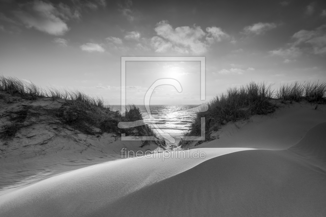 Bild-Nr.: 12464302 Dünenlandschaft schwarzweiß erstellt von eyetronic