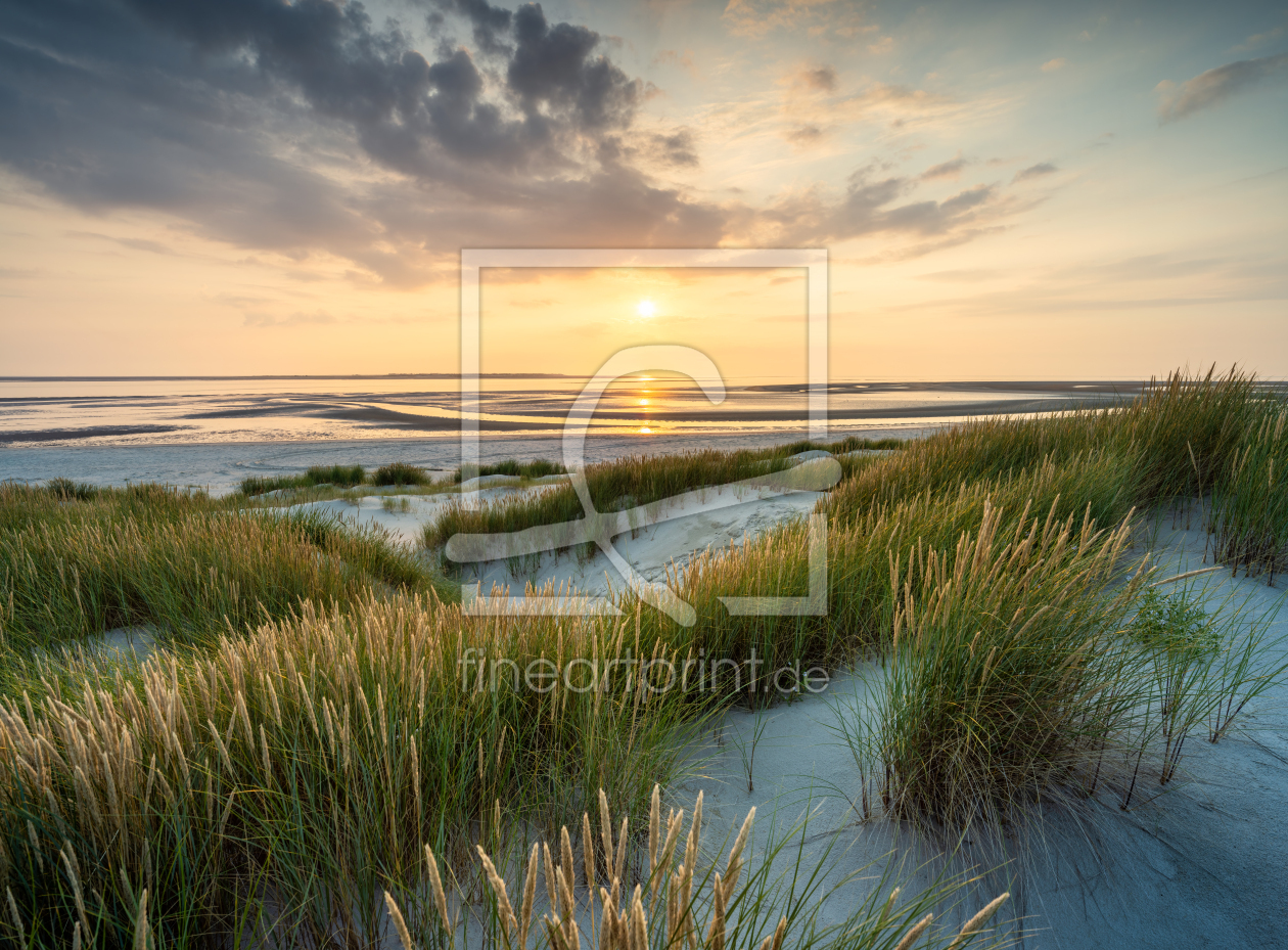 Bild-Nr.: 12467574 Am Dünenstrand bei Sonnenuntergang erstellt von eyetronic