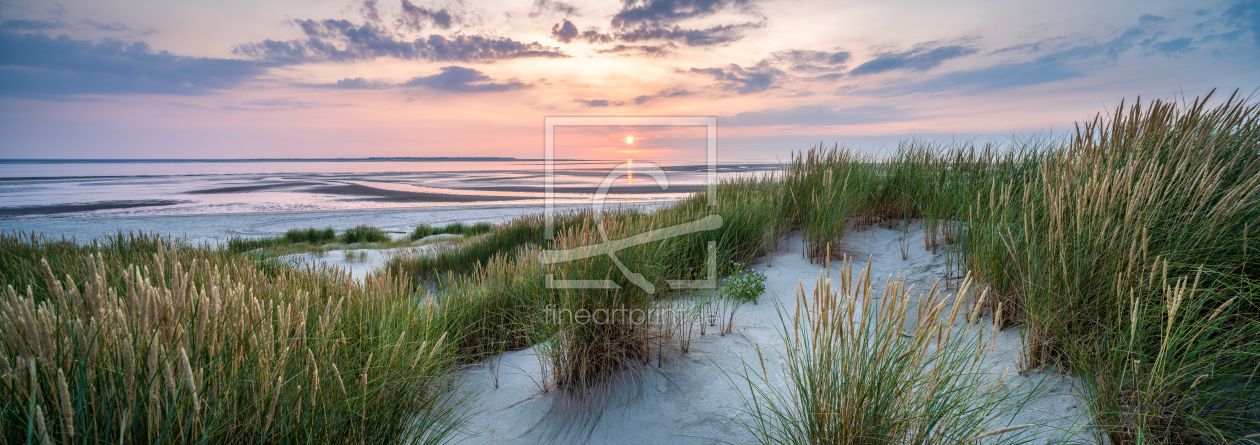 Bild-Nr.: 12468191 Strandhafer am Dünenstrand erstellt von eyetronic