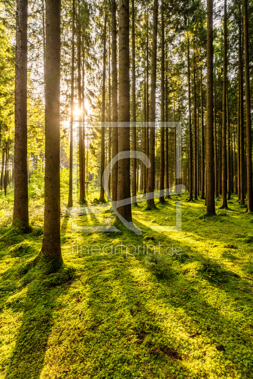 Bild-Nr.: 12468269 Morgenstimmung  erstellt von Achim Thomae