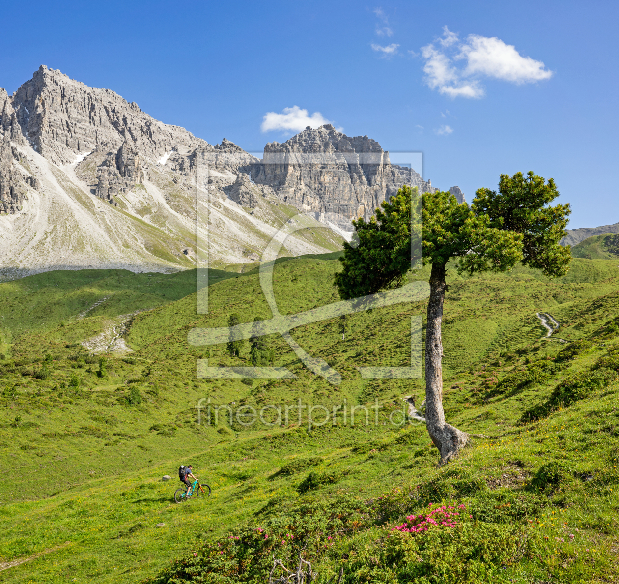 Bild-Nr.: 12469470 Sommer im Gebirge erstellt von wompus