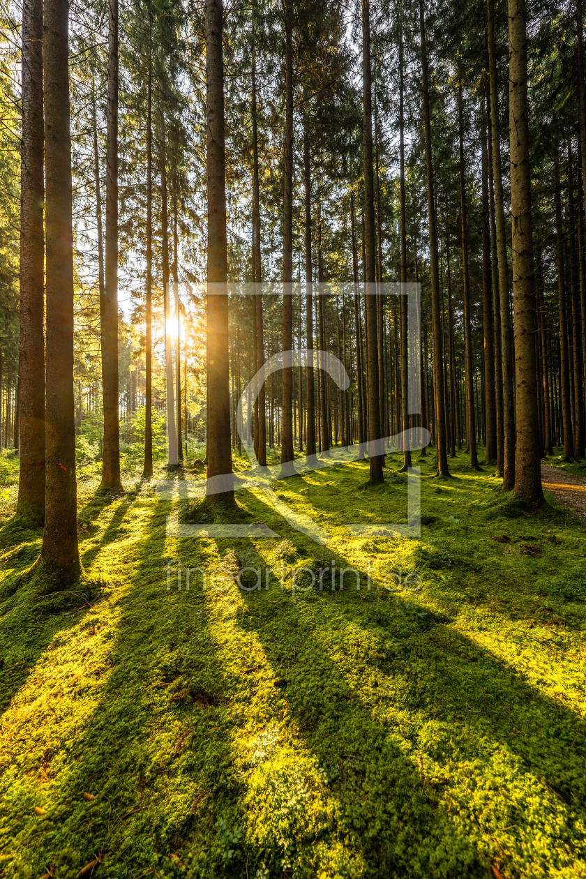 Bild-Nr.: 12469484 Morgenstimmung erstellt von Achim Thomae