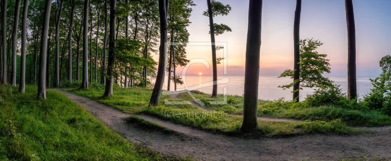 Bild-Nr.: 12470667 Sonnenaufgang im Nationalpark Jasmund auf Rügen erstellt von eyetronic