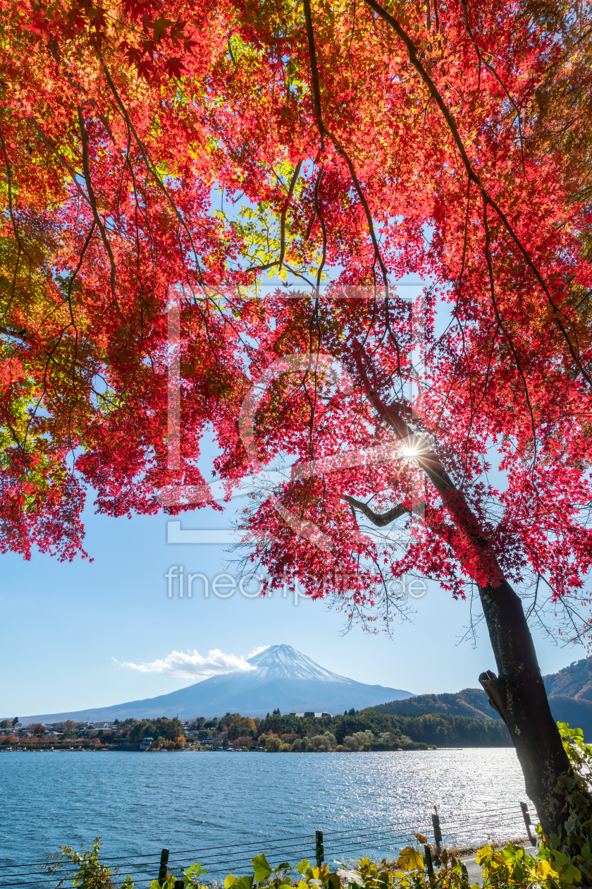 Bild-Nr.: 12471754 Herbststimmung am Ufer des Kawaguchi-See erstellt von eyetronic