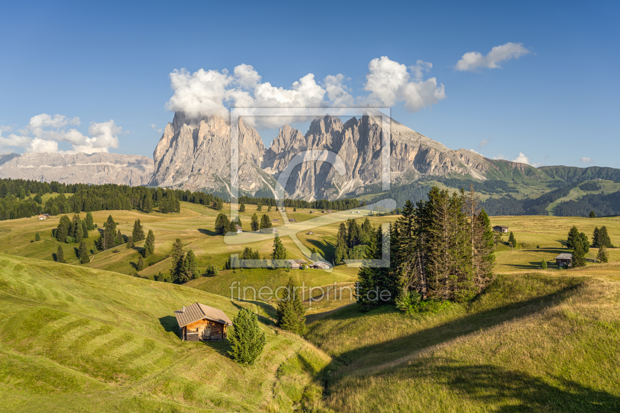 Bild-Nr.: 12471867 Sommer auf der Seiser Alm in Südtirol erstellt von Michael Valjak