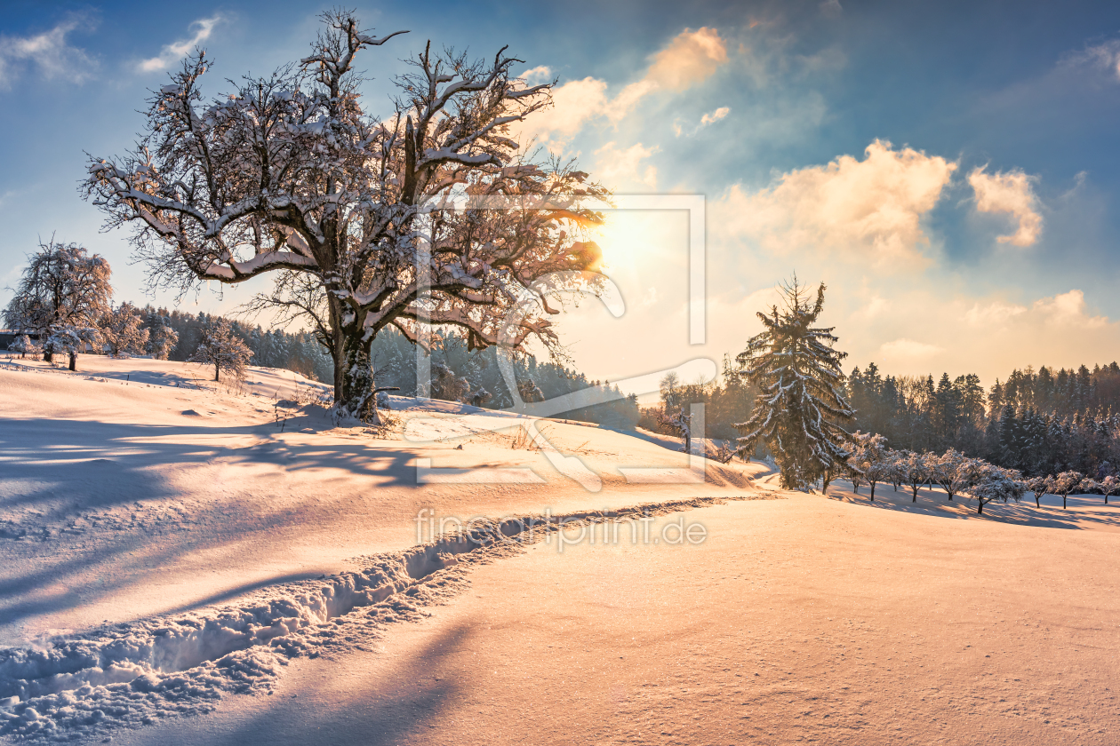 Bild-Nr.: 12477322 Winterlandschaft erstellt von mindscapephotos