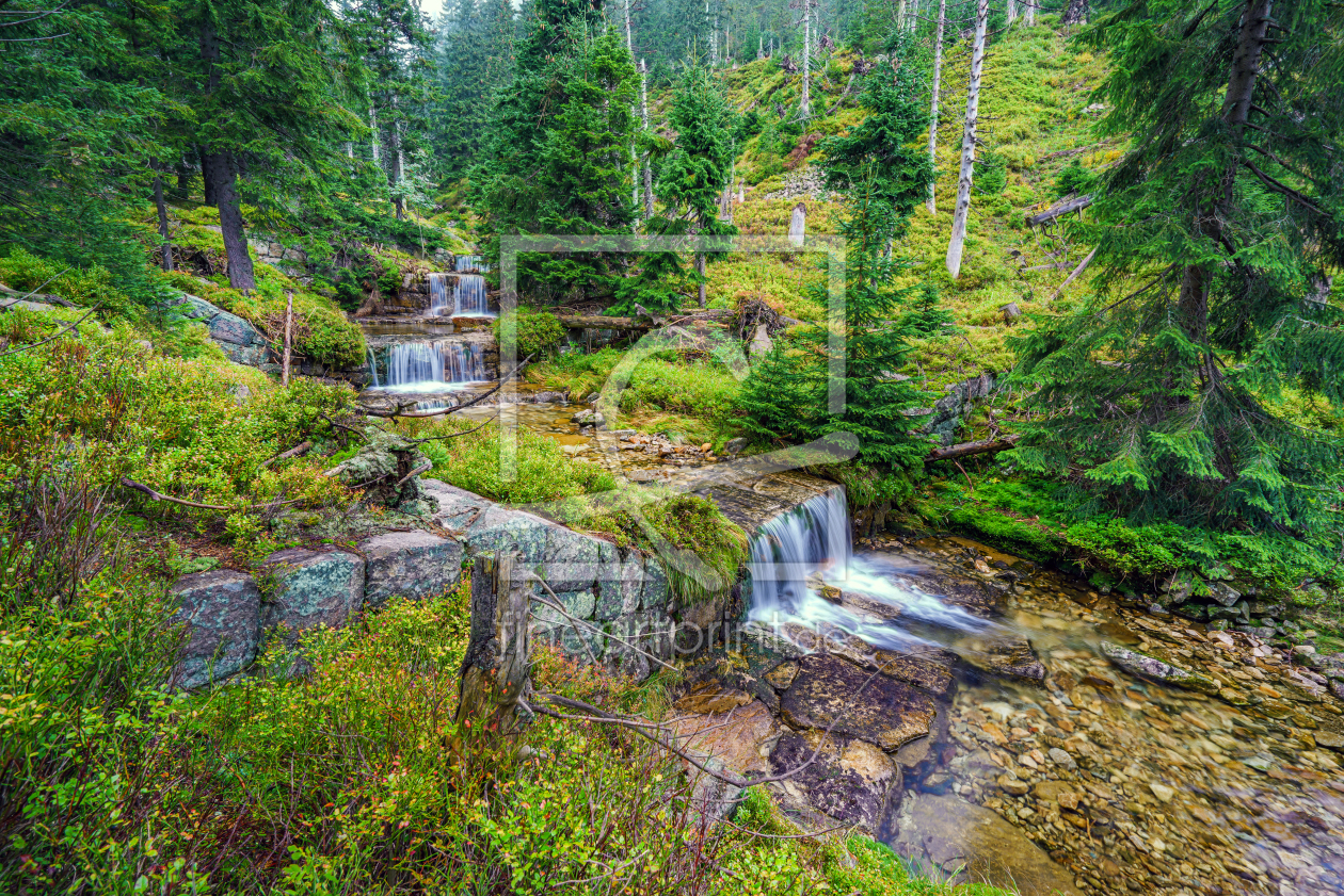Bild-Nr.: 12487610 Waldbild erstellt von FotoDeHRO