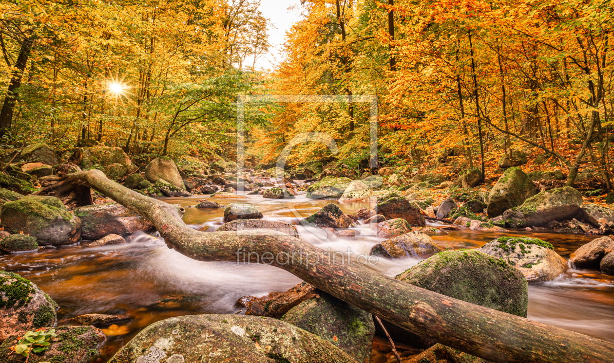 Bild-Nr.: 12493879 Herbstliches Ilsetal erstellt von Steffen Henze